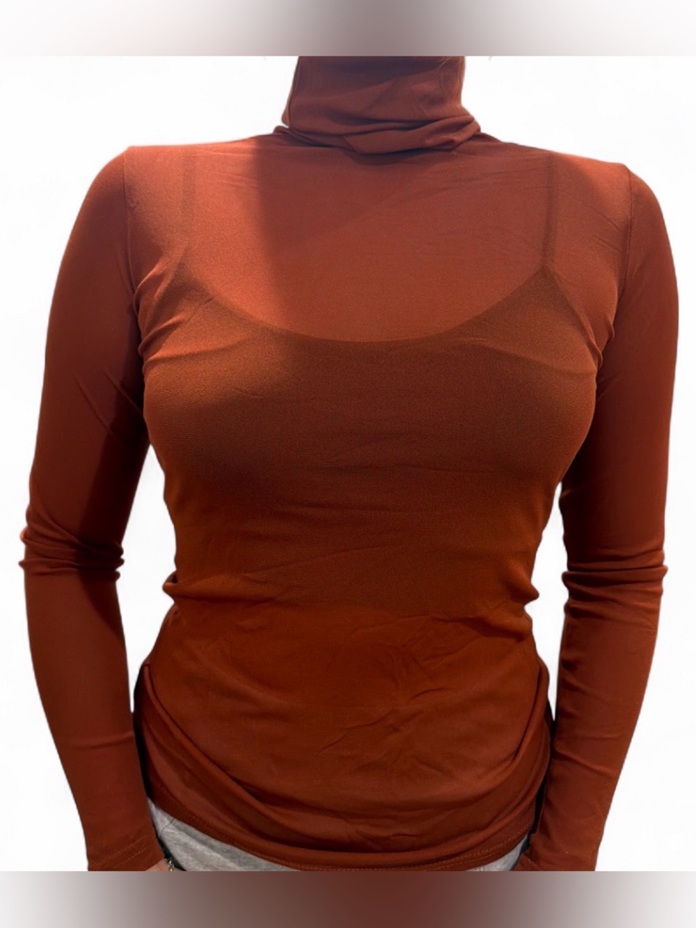 Women's Sheer Long-Sleeve Turtleneck Top
